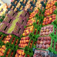 کارگر و بارچین میوه فروشی