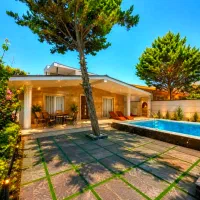 فلت-نمامدرن-استخردار-سندتک-برگ-خوش-قیمت