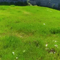 فروش-زمین-370-متری-سند-تک-برگ