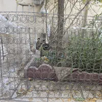 فنر تشک خوشخواب  تک نفره