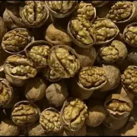 گردو درجه 1