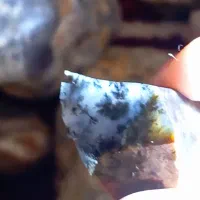 عقیق شجر کلوخ خام