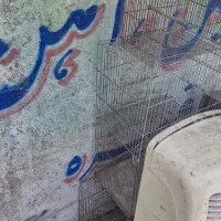 قفس پرنده