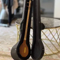 سه تار خیلی تمیز کار استاد نجوا