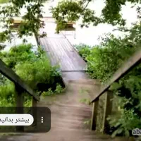 آموزش رانندگی  مخصوص بانوان