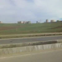 باغ-انگور-برای-ویلا-وکارگاهی