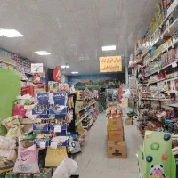 کارگر ساده یا فروشنده خانوم مواد غذایی