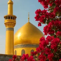 تور ویژه مشهد