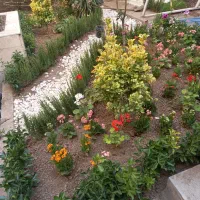 خدمات باغبانی کاشت گل وگیاه باغچه کاری تعویض گلدون