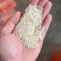 لاشه برنج هاشمی درجه ۱