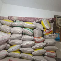 گندم