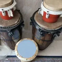 بازدیددلگان