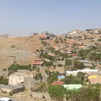 زمین سندتک برگ