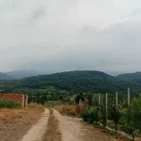 زمین-خانه-سرا