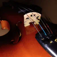 ویالن رناتو