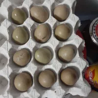 تخم مرغ زینتی
