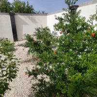 باغ باغچه نقلی چاردیواری تکمیل حجقاسم