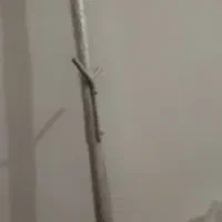 رخت آویز قدی