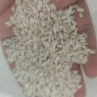 شلتوک فروشی