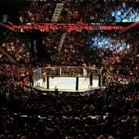 باشگاه آموزش تخصصی MMA خصوصی و عمومی