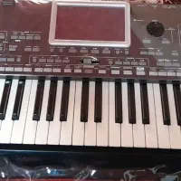 pa3xle|گیتار، بیس، امپلیفایر|شیراز, چوگیاه‎|دیوار