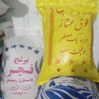 برنج چمپا فجر کامفیروز۱۵۰ کالابرگ موجود