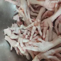 اسکلت وپای مرغ