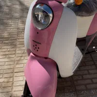 هوندا پاکشتی ژاپن