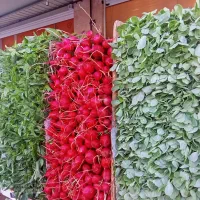 سبزی فروشی