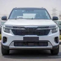کیا سلتوس پلاک ارس
