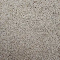 برنج عنبر بو خوشه حنایی