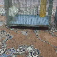 قفس سایز۴نوآکبندمارک s