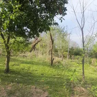 زمین مسکونی فروشی در روستای گنجار|فروش زمین و ملک کلنگی|احمدسرگوراب, |دیوار