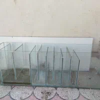 آکواریوم ماهی