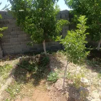 400متر-باغ-مثمر-با-جواز-ساخت-گرمابسرد-شهرک-گلها