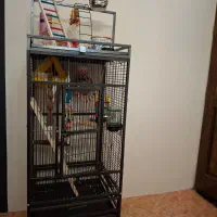 قفس پرنده|لوازم جانبی حیوانات|تهران, سوهانک|دیوار