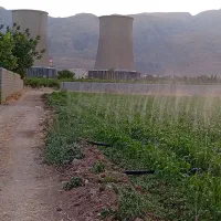 فروش-زمین-باغچه-باغ-شهری