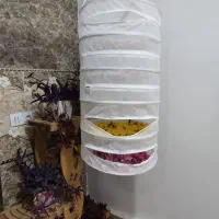 خشک کن میوه و سبزیجات