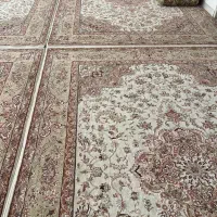قالی