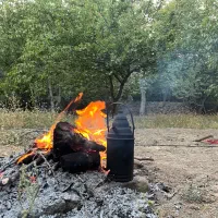 فروش-باغ
