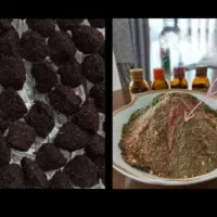 با این به اندام ایده آلت برس