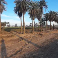 زمین-مسکونی