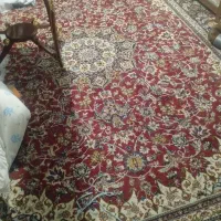 فرش ۴×۳|فرش|تربت‌حیدریه, جانبازان|دیوار
