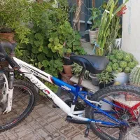 دوچرخه مدل پلیس سایز 24