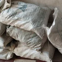بار کبوتر