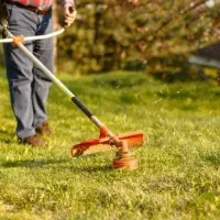 خدمات باغبانی، علف‌زنی و هرس درختان