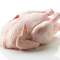 مرغ