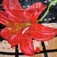 پتو تک نفره .نو.۲ عدد.رنگ و طرح متفاوت