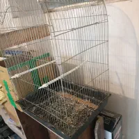 قفس بلندایستاده