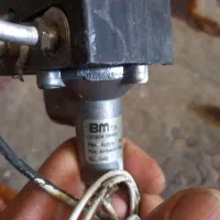 شیر بخاری
